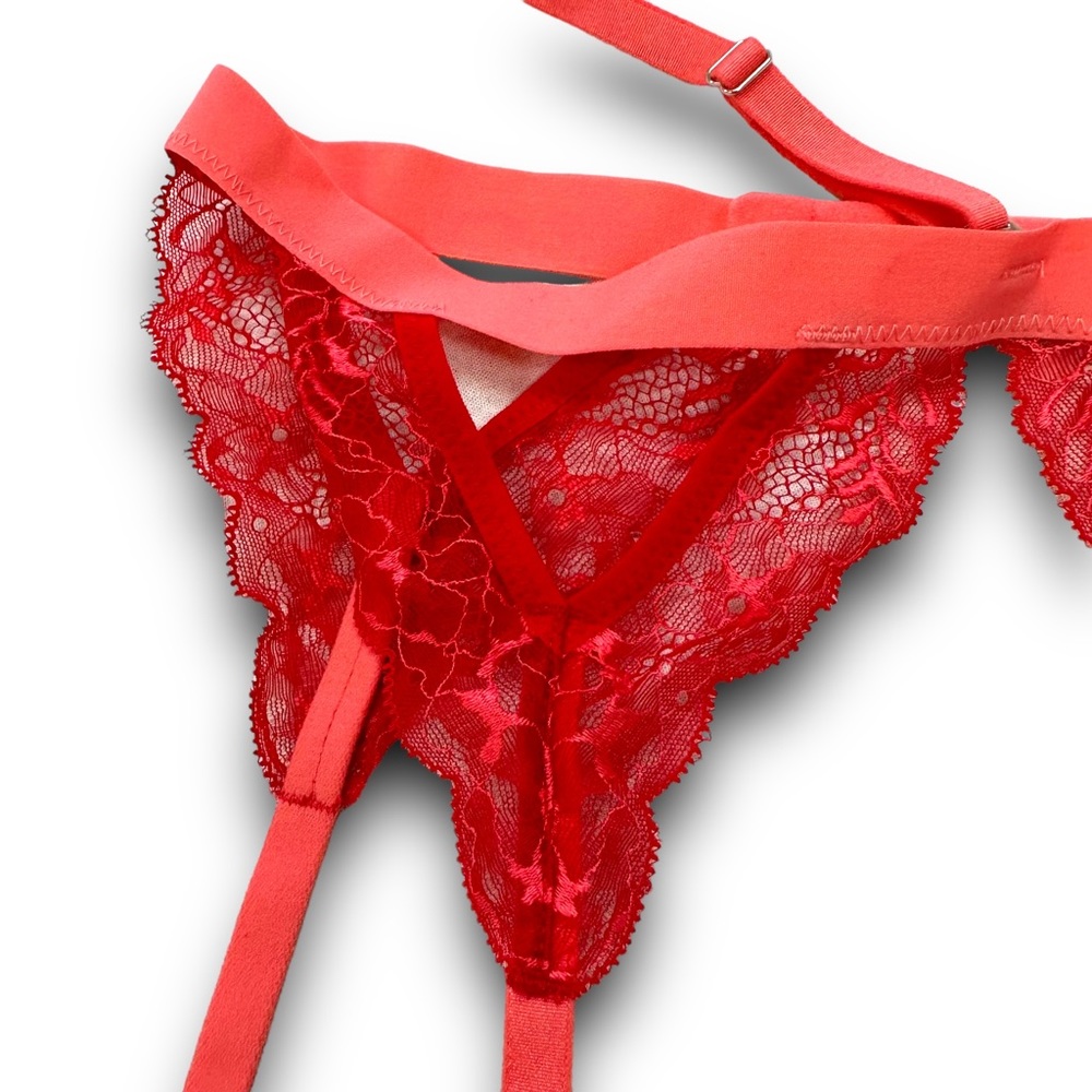 Thistle and Spire Kane Garter Belt with Removable Chocker - Picture 4 of 8